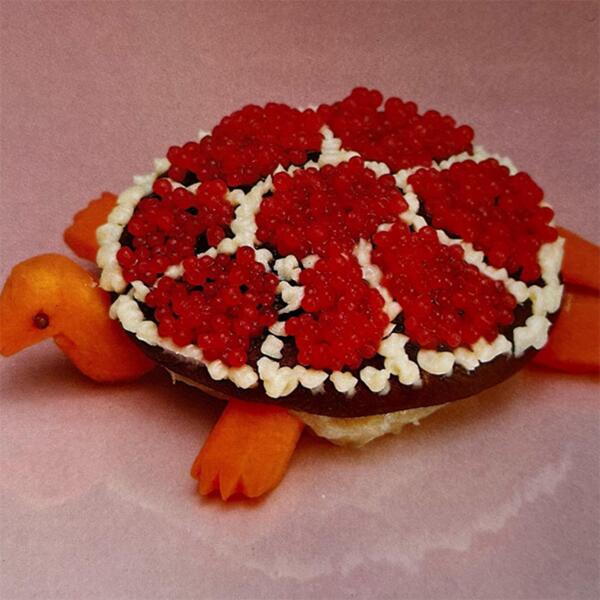 Turtle Rock LP Thumbnail